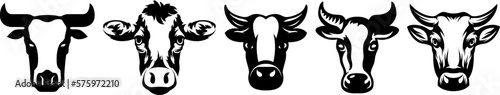 Cow head mascot variant set. Cattle logo. Farm animal illustration.