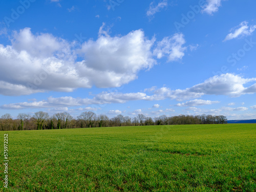 A field with a beautiful blue sky in Pierrefonds, France
