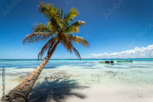 Fototapeta Naklejka Na Ścianę i Meble -  Boats and tropical beach in caribbean sea, Saona island, Dominican Republic