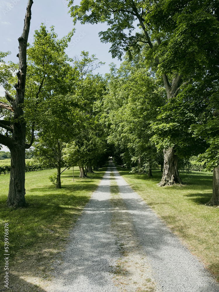 Long dirt driveway leading to farmhouse in country