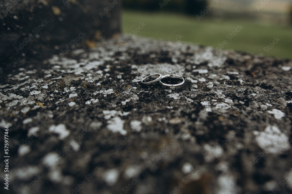 water drops on the ground water drops on the ground