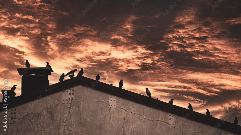 Crows silhouette on the roof of a ruined building. Apocalypse concept, a city after the humanity disappearance. Copy space image.