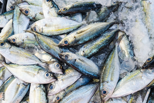 Sea tuna fish sell in fishery market people buy fish © themorningglory