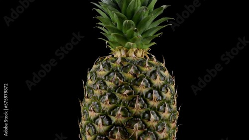 Α delicious pineapple fruit rotating on a black background.