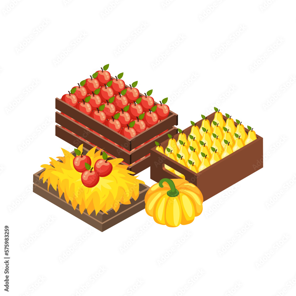 Local Fruit Products Composition Local Fruit Products Composition