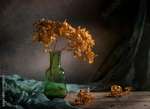 Modern still life with dry hydrangea and green tippet on a dark background