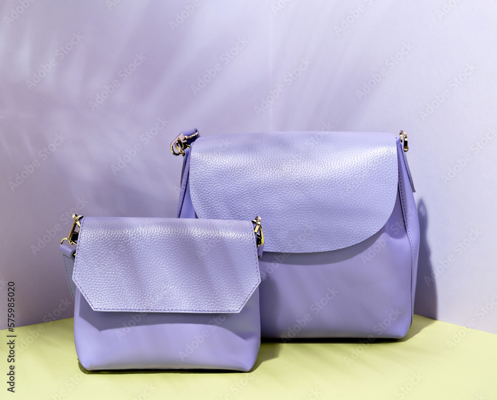 A fashionable female casual handbag. Springtime and summertime purse  collection. Pastel purple clutch, modern elegant design. Colorful studio  photo with purple background. Sale, merchandise concept. Stock Photo |  Adobe Stock