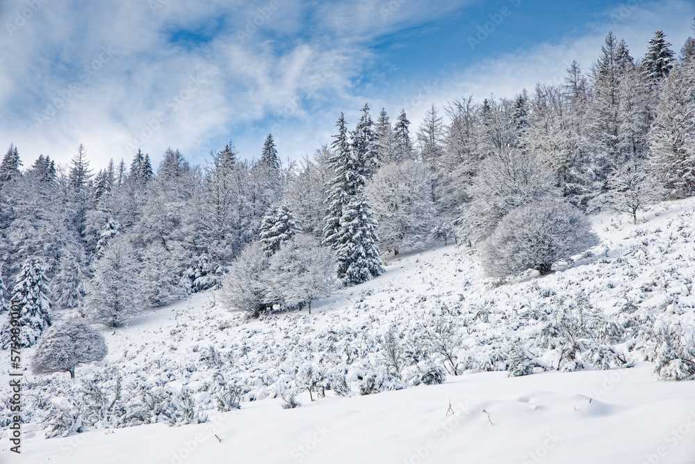 l'hiver dans les Vosges