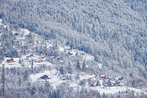 l'hiver dans les Vosges