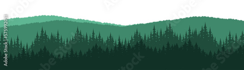 Forest blackforest vector illustration banner landscape panorama - Green silhouette of spruce and fir trees, isolated on white background..