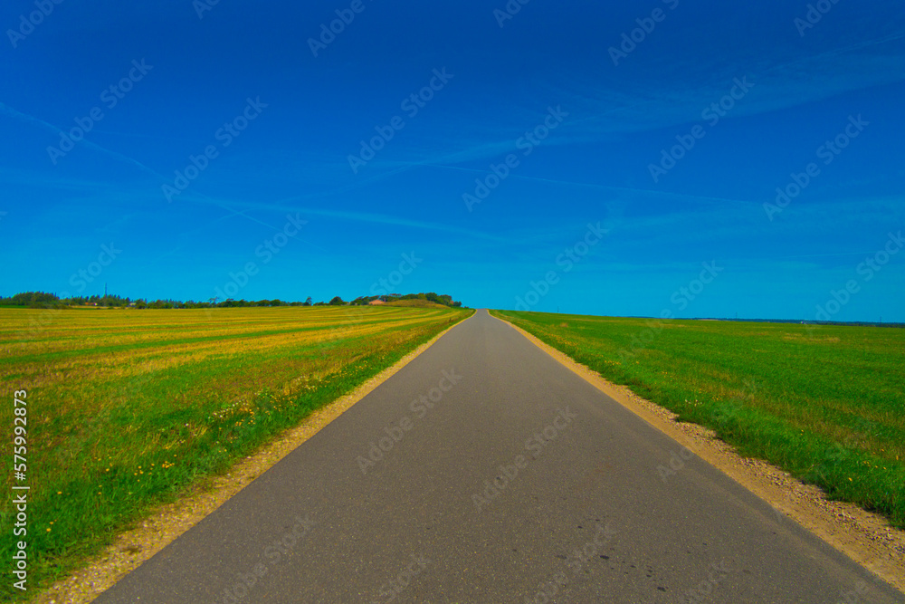 北欧の草原と青空と道