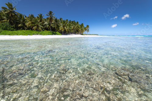 Obraz na płótnie Tropical beach in caribbean sea, idyllic Saona island, Dominican Republic w salonie