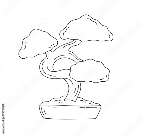 Vector isolated one single bonsai tree in a pot colorless black and white contour line easy drawing
