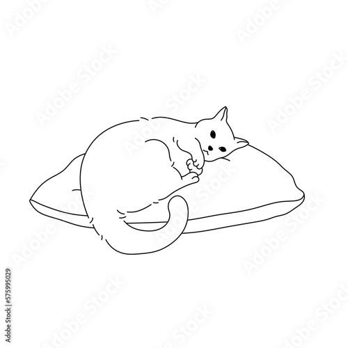Vector isolated one cute cat sleeping lying on a pillow colorless black and white contour line easy drawing