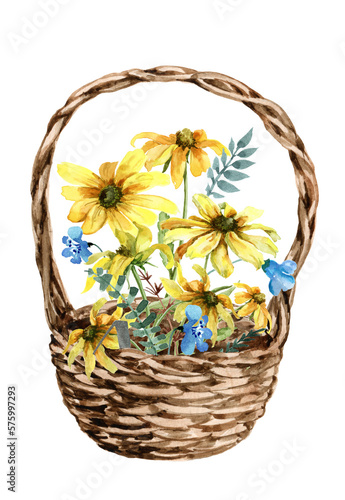 Wicker basket with a bouquet of flowers. Yellow daisies and blue wildflowers. flower composition. Hand-drawn watercolor illustration white background for cards  Easter  women s day  banner  print.