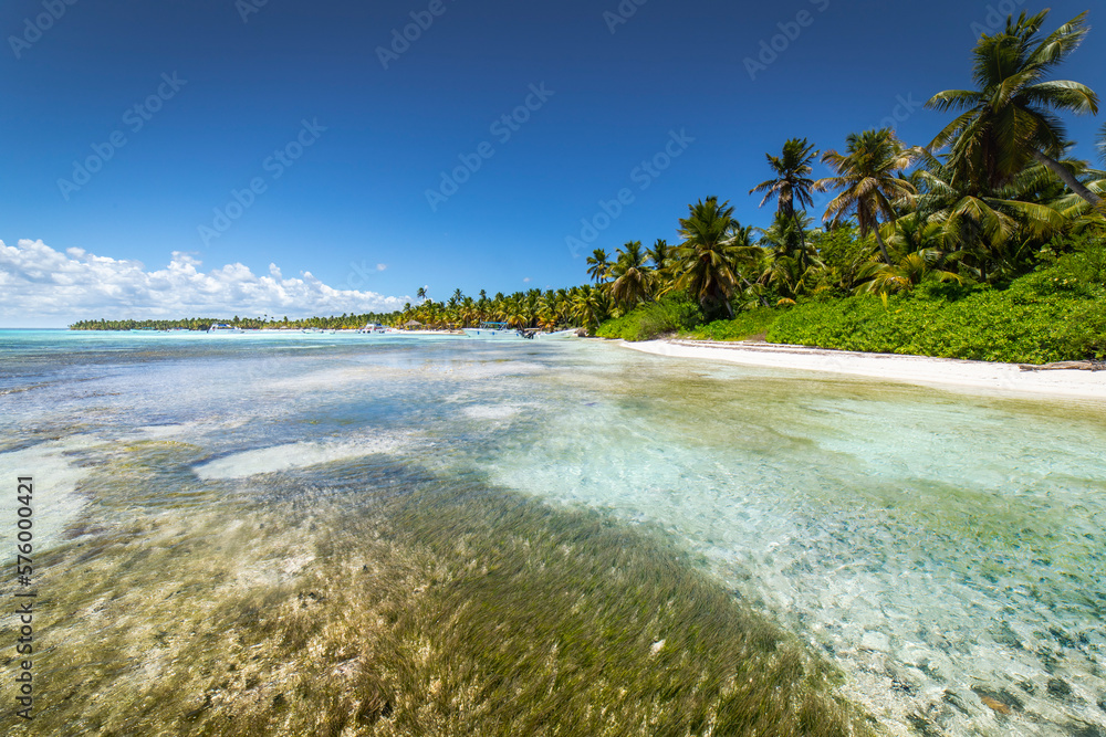 Tropical beach in caribbean sea, idyllic Saona island, Dominican Republic