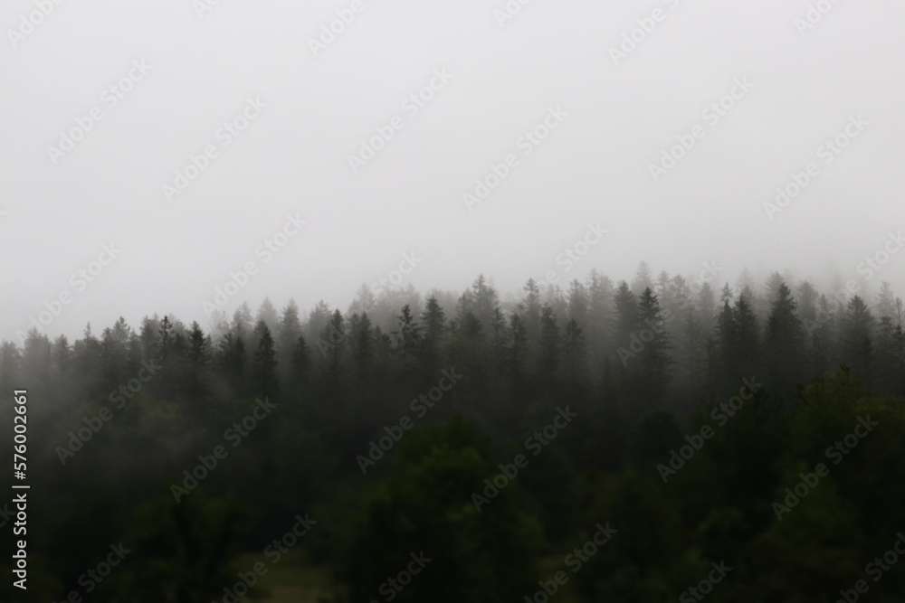 Ukrainian Carpathians Ukrainian Carpathians
