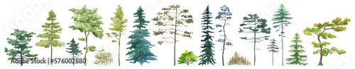 Watercolor tree set. Green pine  beige bush  blue spruce  lush ash