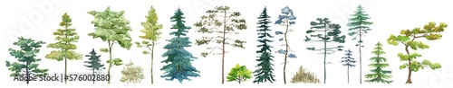 Watercolor tree set. Green pine, beige bush, blue spruce, lush ash