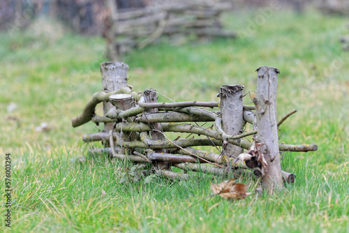 Fotografie sorties avec le parc