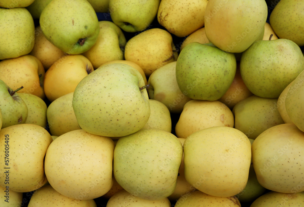 organic and fresh yellow apples at the market organic and fresh yellow apples at the market