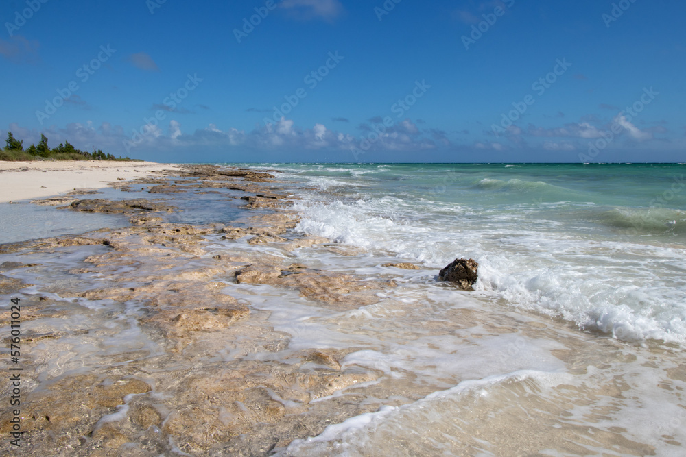 rocky shore on a tropical beach