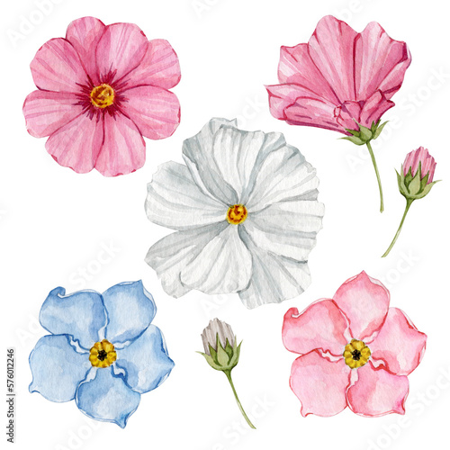 Watercolor cute simple spring flowers illustration clip art