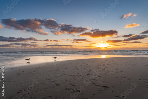 Beautiful sunset over a lonly beach with two seagulls walking over the sandy beach, wonderful calm background concept photo. photo