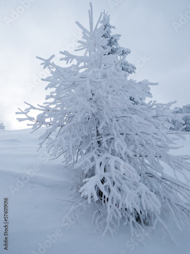 Zillertal 4