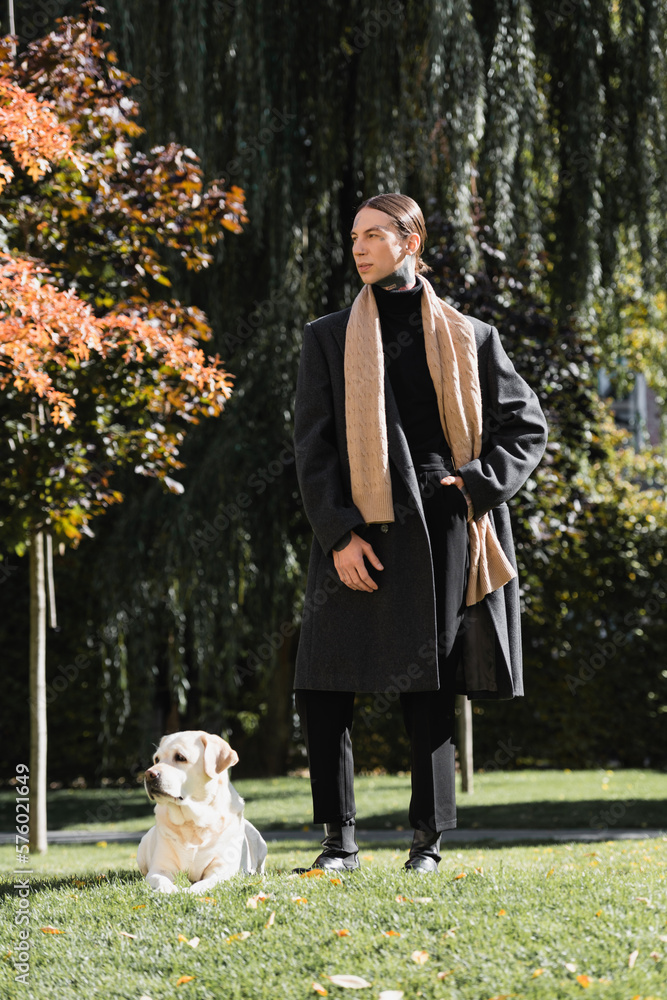 Fototapeta premium full length of tattooed man in stylish coat and scarf standing with hand in pocket near labrador in park.