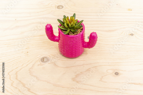 A small decorative pink cactus shaped pot on a raw unvarnished wooden table