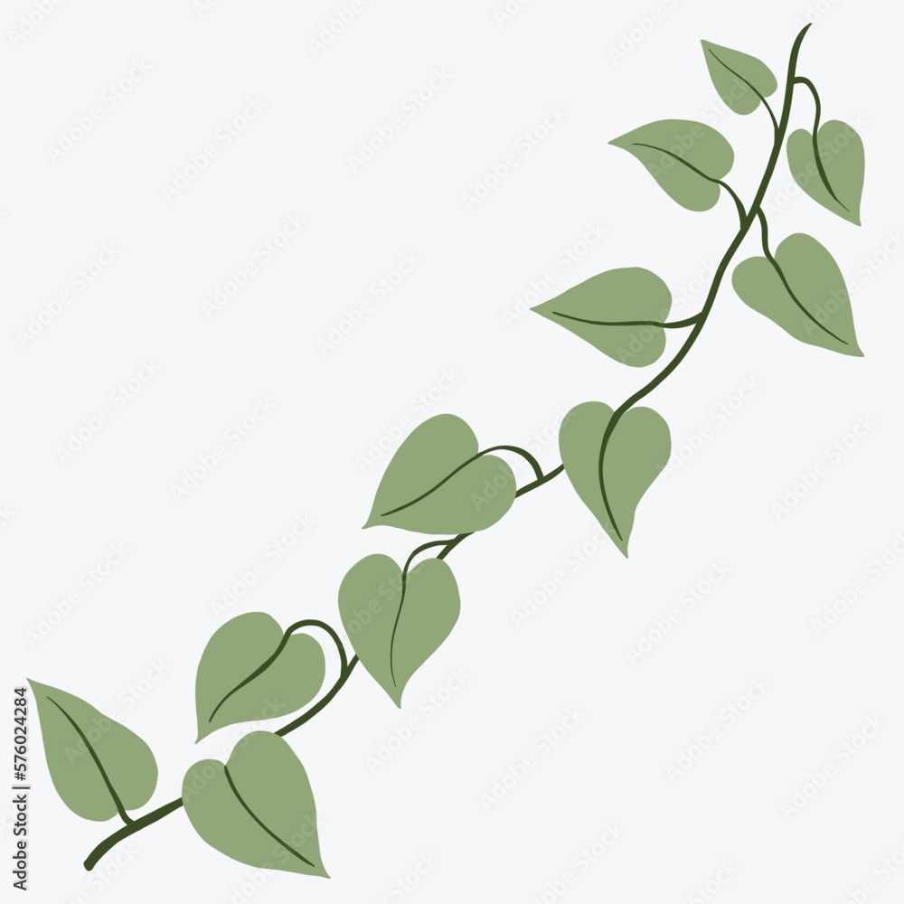 Obraz premium Floral ivy drawing decorative ornament flat design.