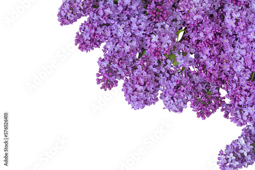 Floral background of spring lilac flowers on a light plastered background. Free space for text and your ideas. View from above. Isolate. PNG Flat lay, top view. photo