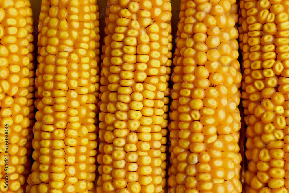 Delicious ripe corn cobs as background, top view Delicious ripe corn cobs as background, top view