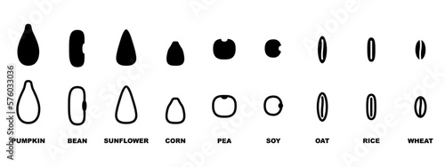 Different seed icon set line illustration