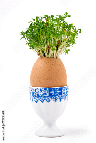 fresh watercress growing from an egg on a stand