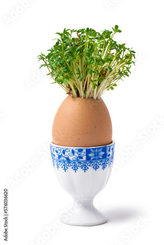 fresh watercress growing from an egg on a stand