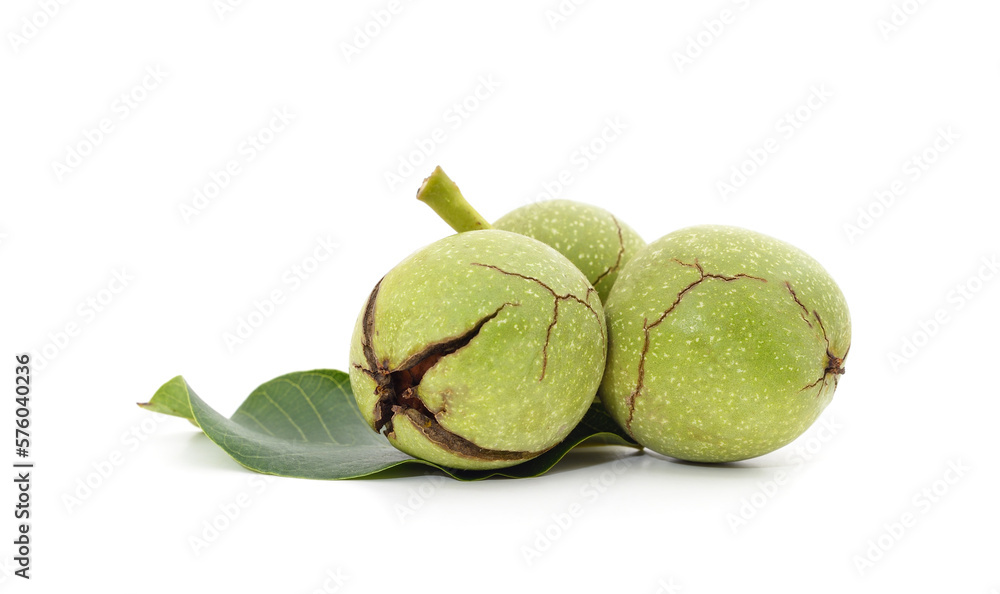 Group of green nuts. Group of green nuts.