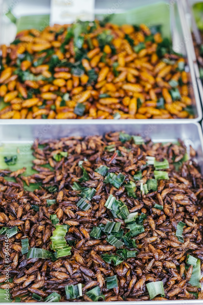Fried food insects. Exotic cooked insect snacks on street asian market.