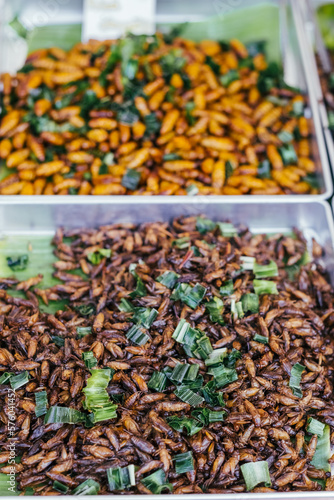 Fried food insects. Exotic cooked insect snacks on street asian market. © Maria