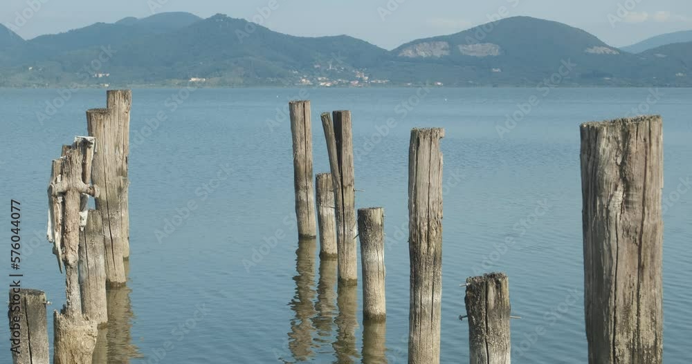 Mountains of Versilia. Puccini Lake Tower.Panorama of Lake Massaciuccoli with marsh vegetation and reflections on the water. Torre del Lago Puccini, Viareggio.