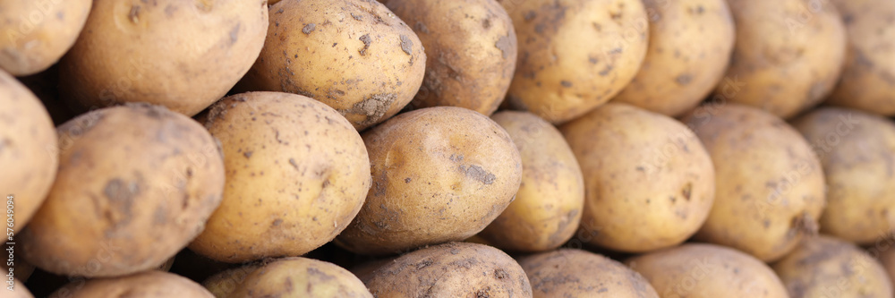 Big pile of yellow fresh potatoes in market Big pile of yellow fresh potatoes in market