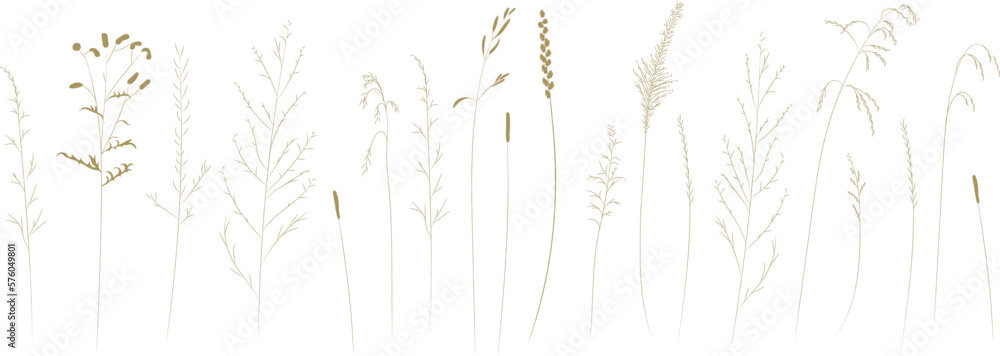 Field and meadow herbs, brown outline, trend sketch for eco design. Sketch of medicinal plants, vector drawing for packaging or textile. Field and meadow herbs, brown outline, trend sketch for eco design. Sketch of medicinal plants, vector drawing for packaging or textile.