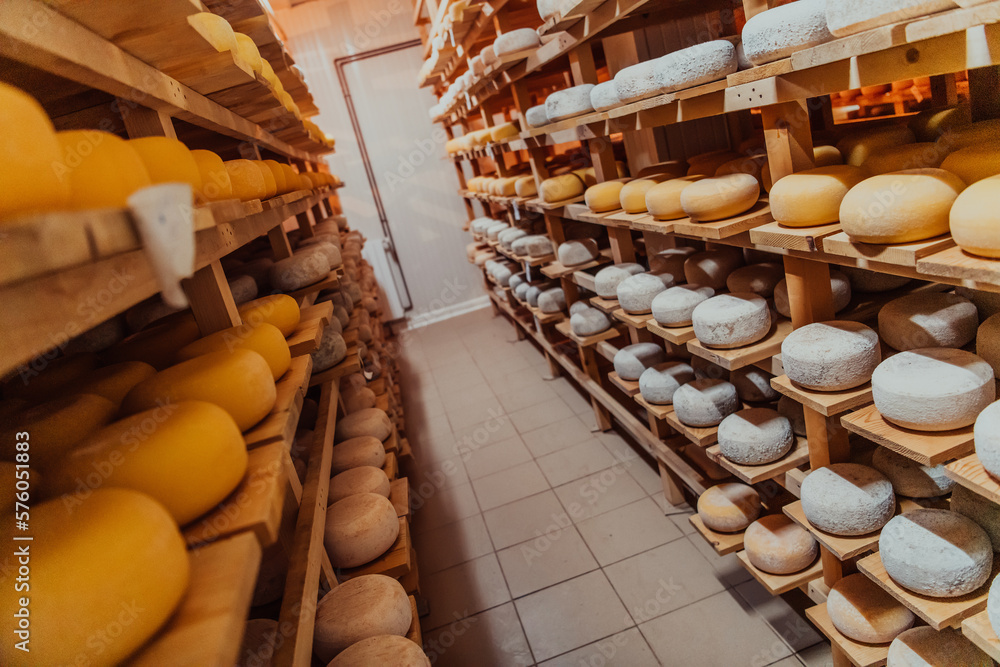 A large storehouse of manufactured cheese standing on the shelves ready to be transported to markets A large storehouse of manufactured cheese standing on the shelves ready to be transported to markets