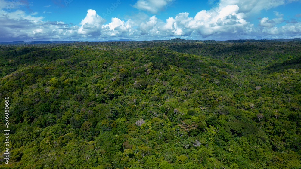 Fototapeta premium Aerial view of Itacare, Bahia, Brazil. Tourist place. Blue sky and clouds, with forest in the background