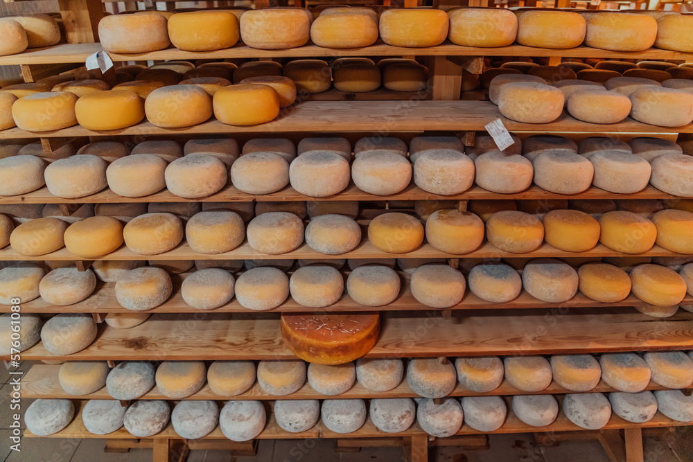 A large storehouse of manufactured cheese standing on the shelves ready to be transported to markets