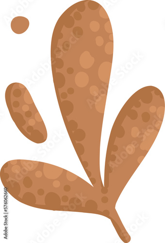 Dry autumn leave of oak, ash and birch trees of different colors. Top view of fall tree leaf. Gold, red, brown and green autumnal foliage set. Flat vector illustration isolated on white background
