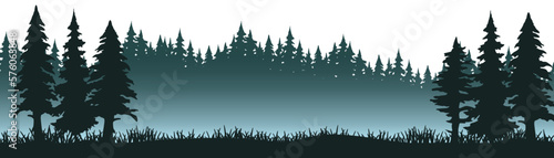 Forest black forest woods vector illustration banner landscape panorama - Green view silhouette of spruce and fir trees with misty fog, isolated on white background