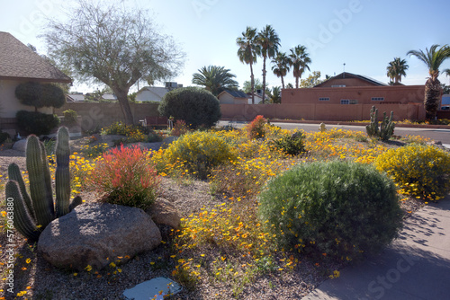 Obraz na plátne Arizona city landscape with waves of green, yellow and red colors created by dro