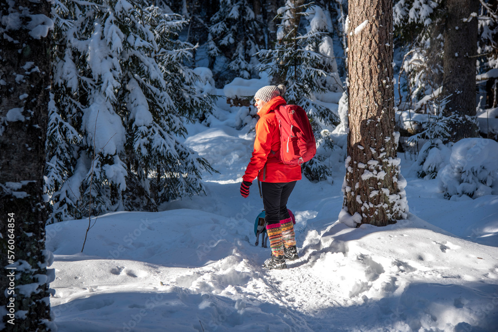 Woman hiking in snowy forest Woman hiking in snowy forest